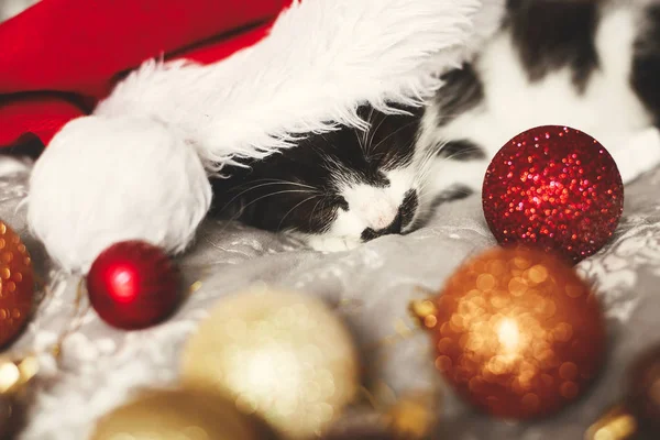 Kleine Katze Schläft Weihnachtsmütze Auf Bett Mit Goldenen Und Roten — Stockfoto