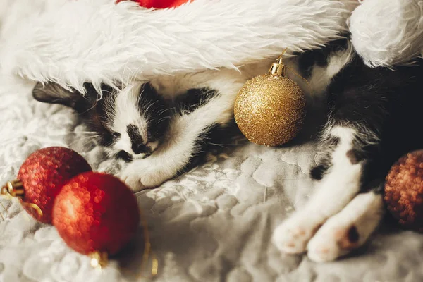 Pequeno Gato Dormindo Santa Chapéu Cama Com Ouro Baubles Natal — Fotografia de Stock