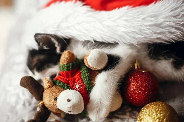 Little Cat Sleeping Santa Hat Bed Gold Red Christmas Baubles — Stock Photo, Image