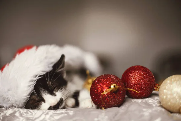 Pequeno Gato Dormindo Santa Chapéu Cama Com Ouro Baubles Natal — Fotografia de Stock