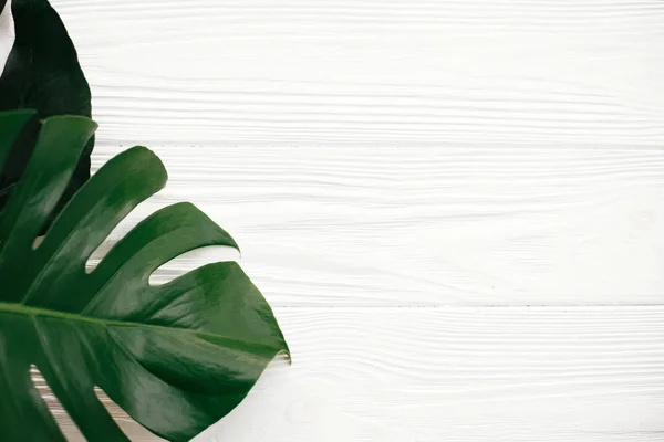 Hojas Monstera Verde Sobre Fondo Madera Blanco — Foto de Stock