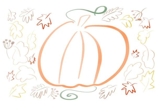 Hand Draw Simple Pumpkin Sketch Leaves White Background Isolated Coloring — Stock Photo, Image