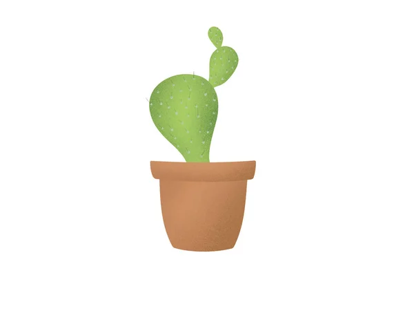 Roztomilý Zelený Kaktus Rostlin Hnědý Květináč Ručně Tažené Ilustrace Bílém — Stock fotografie