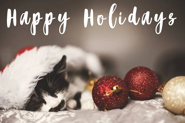 Happy Holidays Text Cute Kitty Sleeping Santa Hat Bed Gold — Stock Photo, Image