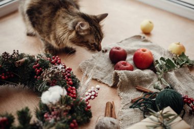 Şirin kedi rustik Noel çelenk ve şık zanaat hediye kutusu köknar, kırmızı meyveler, çam kozalakları, elma, tarçın, yeşil şubesine ile oynarken rustik ahşap masaya makas. Atmosferik tatil