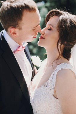 Muhteşem gelin şaşırtıcı elbise ve şık damat yavaşça güneşli parkta öpüşme. Vaktinizi ve açık havada kucaklayan güzel mutlu evlilik çift. Romantik duygusal an