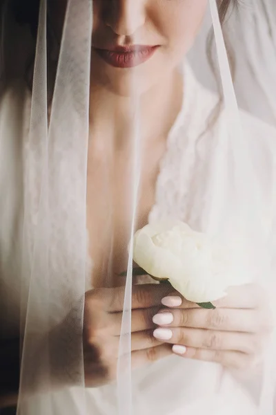 Schöne Stylische Brünette Braut Posiert Seidenrobe Unter Schleier Der Früh — Stockfoto