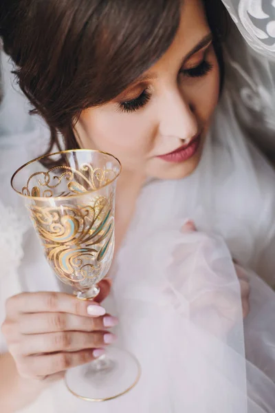 Beautiful Stylish Brunette Bride Silk Robe Veil Cheering Glass Champagne — Stock Photo, Image