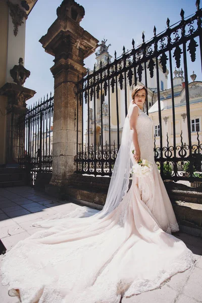 Hinreißende Braut Atemberaubendem Kleid Mit Langem Schleier Und Schleife Hält — Stockfoto