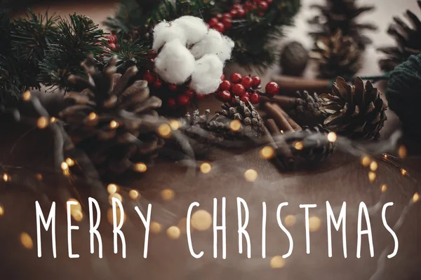 Merry Christmas Text Sign Christmas Wreath Lights Berries Thread Cinnamon — стоковое фото