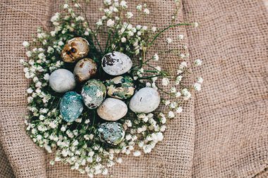 Şık Paskalya yumurta yuvada ahşap, en iyi görünümü üzerinde rustik kumaş üzerine bahar çiçek. Modern Paskalya bıldırcın yumurtası mavi ve gri mermer renkli doğal boya ile boyanmış. Mutlu Paskalyalar, tebrik kartı