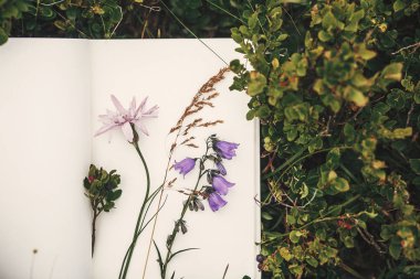 Top view of wildflowers and gathered herbs on paper notebook on blueberry bushes in mountains. Summer travel essentials in mountains. Herbarium clipart