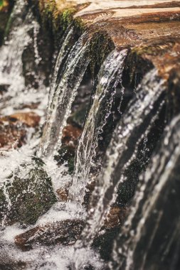 Yakın çekim düşen, su su ile akan ile cascade Dağları'nda ormandaki güzel şelale damla su. Güzel açık havada sahne. Şelale ormanda keşfetmek. Kopya alanı.