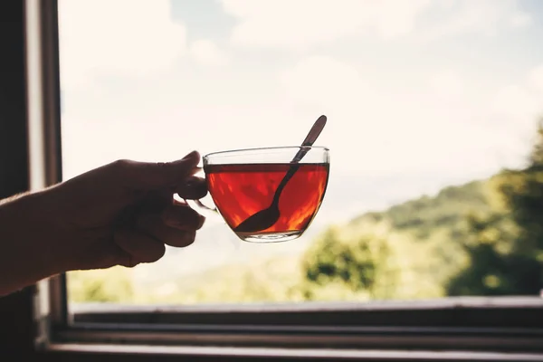 Hand Holding Hot Tea Glass Cup Background Beautiful Landscape Woods — Stock Photo, Image