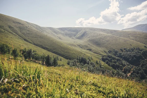 Belle Vue Sur Les Collines Verdoyantes Des Carpates Paysage Montagnes — Photo