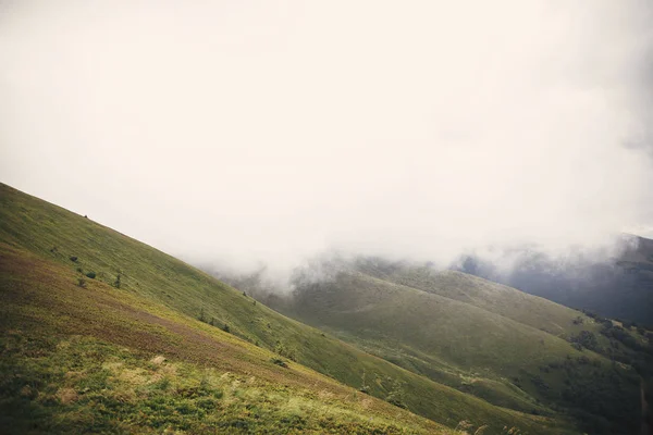 Όμορφη Θέα Από Πράσινους Λόφους Στα Καρπάθια Όρη Τοπίο Ομίχλη — Φωτογραφία Αρχείου