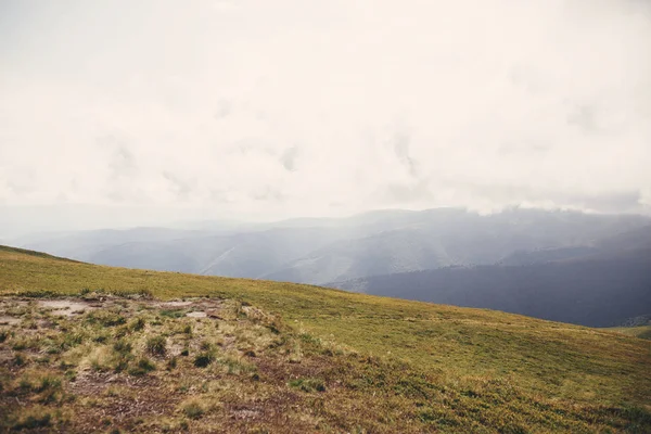 Prachtig Uitzicht Groene Heuvels Karpaten Landschap Van Mistige Mistige Bergen — Stockfoto