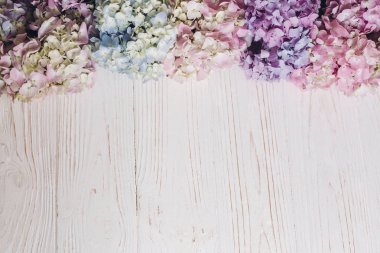 Ortanca, tebrik kartı metin için yer ile renkli pembe, mavi, yeşil, beyaz sınır. Güzel ortanca çiçek rustik ahşap beyaz, düz üzerinde yatıyordu. Merhaba bahar. Mutlu anneler günü. Kadınlar günü