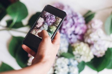 El tutma telefon ve rustik ahşap beyaz ortanca çiçekleri alarak fotoğraf, düz yatıyordu. İçerik Sosyal medya kavramı, bloglama fotoğraflar için. Mutlu anneler günü. Dünya Kadınlar günü