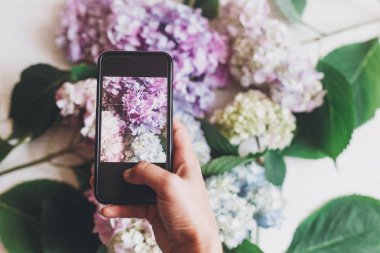 El tutma telefon ve rustik ahşap beyaz ortanca çiçekleri alarak fotoğraf, düz yatıyordu. İçerik Sosyal medya kavramı, bloglama fotoğraflar için. Mutlu anneler günü. Metin için yer