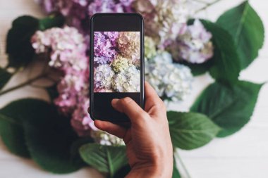 El tutma telefon ve rustik ahşap beyaz ortanca çiçekleri alarak fotoğraf, düz yatıyordu. İçerik Sosyal medya kavramı, bloglama fotoğraflar için. Mutlu anneler günü. Bahar görüntü Merhaba