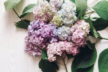 Güzel ortanca çiçek rustik ahşap beyaz, düz üzerinde yatıyordu. Renkli pembe, mavi, yeşil, beyaz buket ortanca rustik penceresinde. Merhaba bahar. Mutlu anneler günü. Kadınlar günü