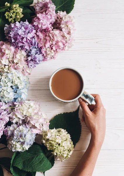 Mano Sosteniendo Taza Café Hermosas Flores Hortensias Madera Blanca Rústica —  Fotos de Stock