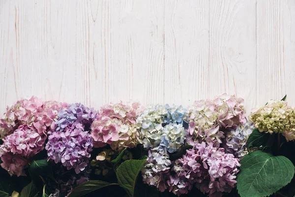 Красиві Квіти Гортензії Сільському Білому Дереві Плоскі Барвистий Рожевий Синій — стокове фото