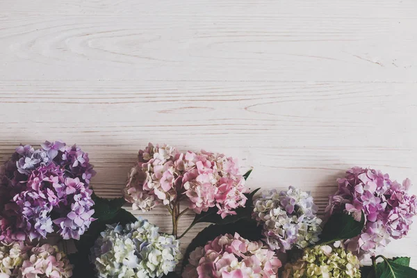 Красиві Квіти Гортензії Сільському Білому Дереві Плоскі Барвистий Рожевий Синій — стокове фото