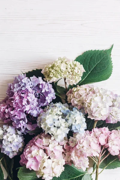 Hermosas Flores Hortensias Madera Blanca Rústica Con Espacio Para Texto —  Fotos de Stock