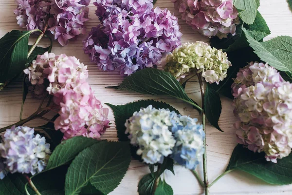 Prachtige Hydrangea Bloemen Een Rustiek Wit Hout Plat Leggen Kleurrijke — Stockfoto