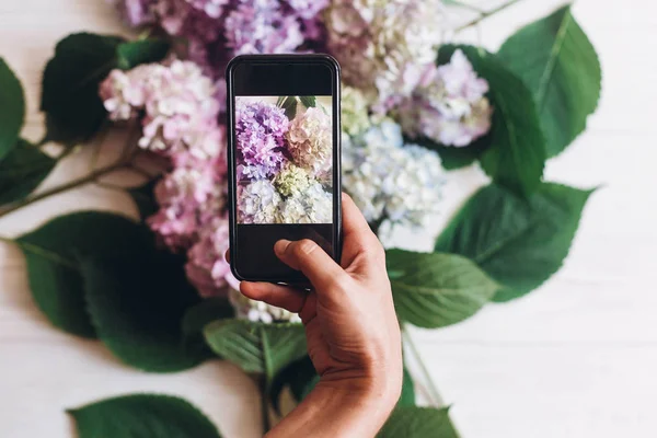 Hand Holding Phone Taking Photo Hydrangea Flowers Rustic White Wood — Stock Photo, Image