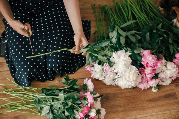 Beautiful girl in vintage dress holding scissors and cutting stems of pink and white peonies. Happy stylish woman arranging peony flowers in room. Florist in studio. Womens Day