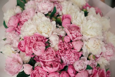 Peonies desen duvar kağıdı. Büyük şık pembe ve beyaz şakayık buket kapatın. Mutlu anneler günü. Sevgililer günü. Aroma kokusu kavramı. Uluslararası Kadınlar günü.