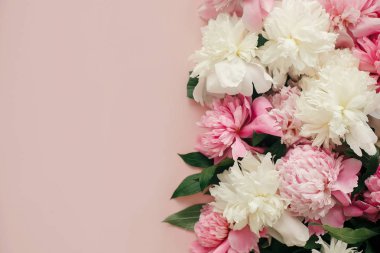 Şık peonies düz yatıyordu. Pembe ve beyaz peonies metin için yer ile pastel pembe kağıt üzerinde. Merhaba bahar. Mutlu anneler günü, çiçek tebrik kartı mockup. Uluslararası Kadınlar günü.