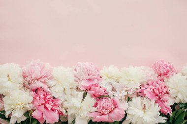 Şık peonies düz yatıyordu. Pembe ve beyaz peonies metin için yer ile pastel pembe kağıt üzerinde kenarlık. Mutlu anneler günü, çiçek tebrik kartı mockup. Uluslararası Kadınlar günü. Sevgililer günü.