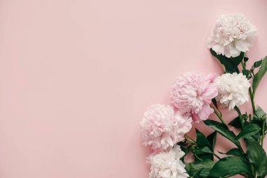 Uluslararası Kadınlar günü. Şık peonies düz yatıyordu. Pembe ve beyaz peonies metin için yer ile pastel pembe kağıt üzerinde kenarlık. Mutlu anneler günü, çiçek tebrik kartı mockup. Sevgililer günü.