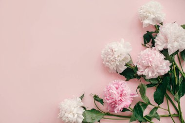 Şık peonies düz yatıyordu. Pembe ve beyaz peonies metin için yer ile pastel pembe kağıt üzerinde kenarlık. Mutlu anneler günü, çiçek tebrik kartı mockup. Uluslararası Kadınlar günü. Sevgililer günü.