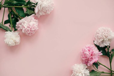 Uluslararası Kadınlar günü. Şık peonies düz yatıyordu. Pembe ve beyaz peonies metin için yer ile pastel pembe kağıt üzerinde kenarlık. Mutlu anneler günü, çiçek tebrik kartı mockup. Sevgililer günü.