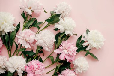 Şık peonies buket düz yatıyordu. Pembe ve beyaz peonies pastel pembe kağıt üzerinde. Merhaba bahar. Mutlu anneler günü, çiçek tebrik kartı mockup. Uluslararası Kadınlar günü. Sevgililer günü