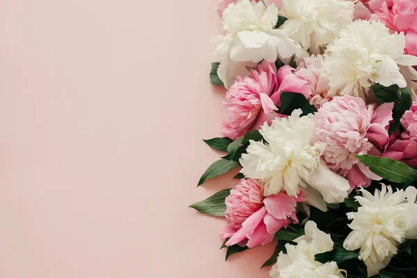 Pembe ve beyaz peonies metin için yer ile pastel pembe kağıt üzerinde. Merhaba bahar. Mutlu anneler günü, çiçek tebrik kartı mockup. Uluslararası Kadınlar günü. Şık kız gibi görüntü