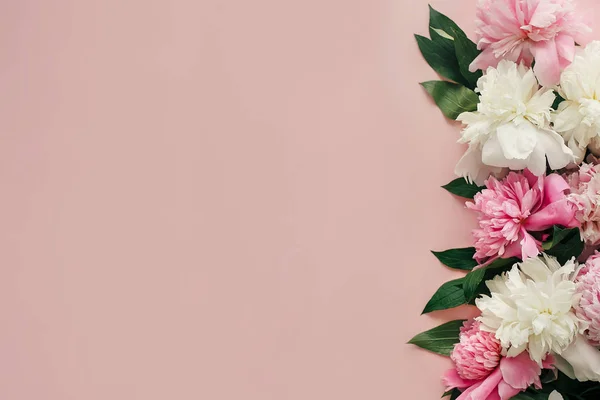 Şık Peonies Düz Yatıyordu Pembe Beyaz Peonies Metin Için Yer — Stok fotoğraf