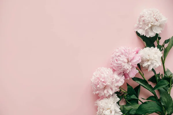 Internationale Dag Van Womens Stijlvolle Pioenrozen Plat Leggen Roze Witte — Stockfoto