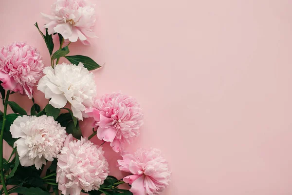 Internationale Dag Van Womens Stijlvolle Pioenrozen Plat Leggen Roze Witte — Stockfoto