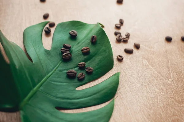 Geröstete Kaffeebohnen Auf Grünem Monsterblatt Auf Rustikalem Holz Licht Stilvolles — Stockfoto