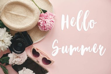 Yaz metin işareti Merhaba şık fotoğraf makinesi, retro güneş gözlüğü, şapka, peonies üzerinde pastel pembe kağıt