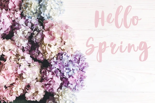 Hello Spring Text Sign Beautiful Hydrangea Flowers Rustic White Wood — Stock Photo, Image