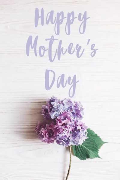 Щасливий День Матері Текст Підписати Purple Красиві Гортензії Квітка Сільському — стокове фото
