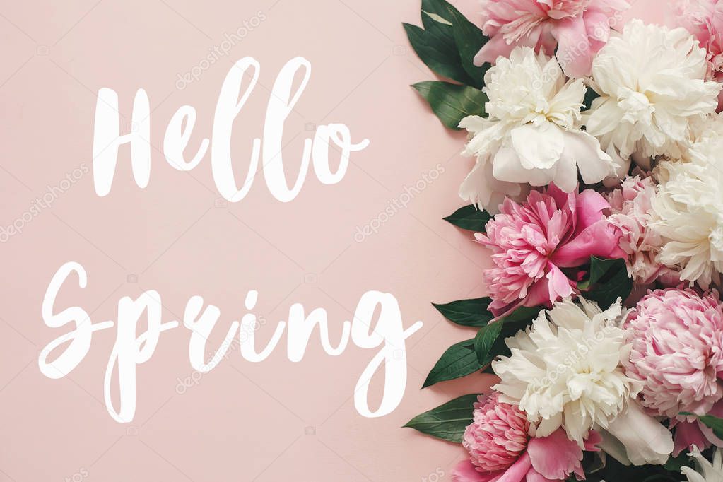 Hello Spring text sign on stylish peonies flat lay. Pink and white peonies border on pastel pink paper