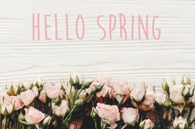 Merhaba Bahar metin pembe küçük gül ahşap arka plan üzerinde oturum